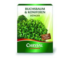 CHRYSAL 025-2281 Buchsbaum & Konifere