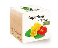 Feel Green Ecocube Kapuzinerkresse, Bio Zertifiziert, Nachhaltige Geschenkidee (100% Eco Friendly), Grow Your Own/Anzuchtset, Pflanzen Im Holzwürfel, Made in Austria