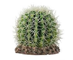 Hobby 37006 Kaktus Sonora, M