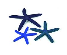 OASE biOrb Seestern Set 3 - 3-teilige Aquariums-Dekoration, Deko in Form von drei Finger-Seesternen, Zubehör fürs Aquarium-Becken, in Blau