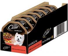 Cesar Hundefutter Nassfutter Landküche mit Rind, Pasta und Karotten in köstlicher Sauce, 14 Schalen (14 x 150g)
