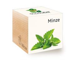 Feel Green Ecocube Minze, Nachhaltige Geschenkidee (100% Eco Friendly), Grow Your Own/Anzuchtset, Pflanzen Im Holzwürfel, Made in Austria