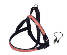 Nobby NORWEGER Geschirr FLASH MESH rot L: L: 70-85 cm + 52; B: 30 mm