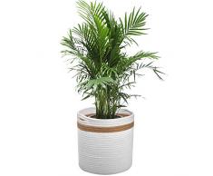 Pflanzkorb aus Baumwollseil für 25,4 cm Pflanzgefäß, gewebter Korb, Aufbewahrungskorb, modernes Heimdekoration, 27,9 x 27,9 cm