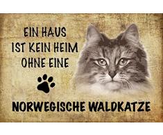 Schatzmix EIN Haus ist kein heim ohne eine Norwegische waldkatze Katze Metal Sign deko Schild Blech Garten