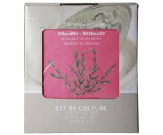 Esschert Design Anzucht-Set Rosmarin, Saatgut und Blumenerde inkl. Raku-Blumentopf und Untersetzer und Zink-Pflanzstab