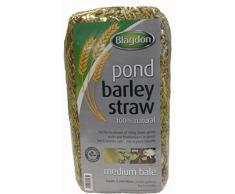 Interpet Teichpflege und Wasseraufbereitung Blagdon Teich Gerstenstroh - mittel Ballen, gold
