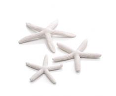 OASE biOrb Seestern Set 3 - 3-teilige Aquariums-Dekoration, Deko in Form von drei Finger-Seesternen, Zubehör fürs Aquarium-Becken, in Weiß