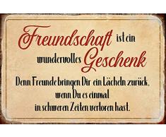 Schatzmix Freundschaft ist EIN wundervolles Geschenk…Spruch blechschild