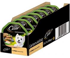 Cesar Hundefutter Nassfutter Gartenvielfalt mit Geflügel, Gemüse und Reis, 14 Schalen (14 x 150g)