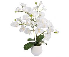 HOMEA Orchidee mit Topf Mehrfarbig 50 x 50 x 57 cm 5 fli175