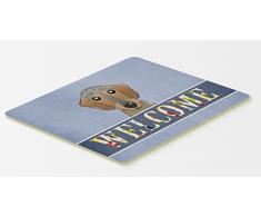 Caroline s Treasures bb1419cmt drahthaariger Dackel Welcome Küche oder Badteppich, 20 durch 76,2 cm Multicolor