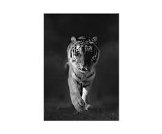 STYLER GL100 Glasbild, Glas, schwarz, 0.4 x 70 x 100 cm