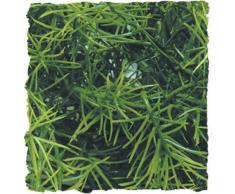 Zoo Med BU-38 Cashurina Kunststoffpflanze, large, Dekoration und VersteckmÃ¶glichkeit im Terrarium