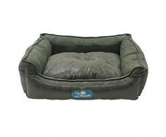 ICA iqued5g Wiege Phobetor Dream