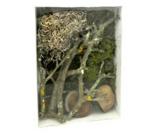 Lucky Reptile LDS-02 Life Experience Deco Set Jungle, Dekoration aus Naturmaterialien für Nano Feuchtterrarien