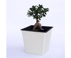 Blumenkübel Pflanzkübel Blumentopf Quadrat konisch Polyrattan LxBxH 34x34x31cm creme weiß