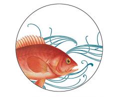 Boston International Caskata Studio Tidbit Topper Teller-Set, Melamin, Zartblau, 4 Stück Modern Tidbit fisch