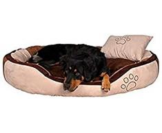 Trixie 37721 Bett Bonzo, 60 × 50 cm, beige/braun