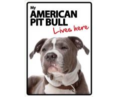 Magnet & Stahl Zeichen, American Pit Bull Lives Here