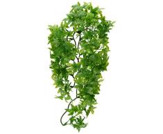 Zoo Med Laboratories SZMBU22 Kongo Efeu, mittelgroß, buschig