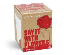 MAGS Vertriebs 11726 Grow Me Lass Blumen Sprechen Geschenkbox