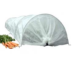 Haxnicks Glasglocke im GIANT Tunnel