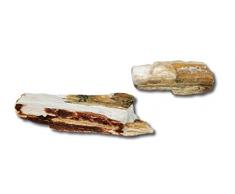 Wave A8011065 Stonewood Color Holzkiste, 6-12 cm / 15-25 cm, 30 Stück