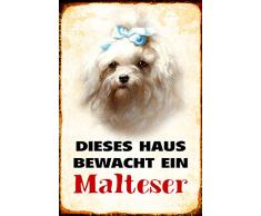 Schatzmix Dieses Haus bewacht EIN Malteser Hund Metal Sign deko Schild Blech Garten