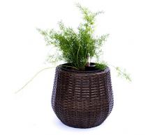 Pflanzkübel Blumenkübel Blumentopf rund konisch Polyrattan D35xH32cm mocca