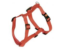 Kerbl Geschirr Miami, rot 15 mm, 30-40 cm