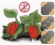 greemotion Anti-Unkrautvlies schwarz, atmungsaktives Gartenvlies, Unkrautschutzvlies Pflanzen schonend, Unterbodenvlies wasserspeichernd