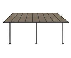 Palram Capri Terrassenüberdachung, Grau Bronze
