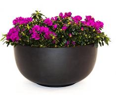 Pflanzkübel Blumenkübel Blumentopf Fiberglas Schale D50xH25cm elegant schwarz-matt.