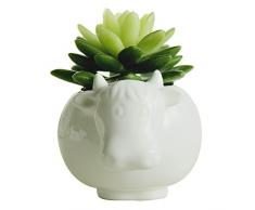 gelive Elefant weiß Keramik Sukkulente Übertopf Blumentopf Fenster Karton mit Untertasse