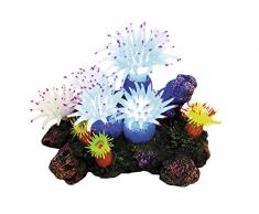 Nobby 28598 Aqua Ornaments APLYSINA mit Pflanzen, mit LED 16, 5 x 12, 0 x 11, 0 cm
