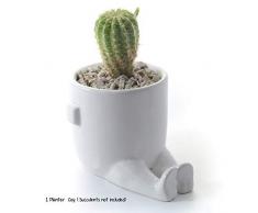 KOZ-itas Kozitas Keramik-Pflanzgefäße für Sukkulenten, Kräuter und Pflanzen WHT-Coy