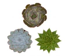 Pasiora Echeveria Mix im 12cm Topf, verschiedene große Pflanzen, Rosetten Geschenkset (3 Stück)