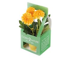 Closer 2 Nature Artificial Flower, Künstliche Mini Garten Chrysantheme in Geschenk Box, 19 cm, gelb/gold