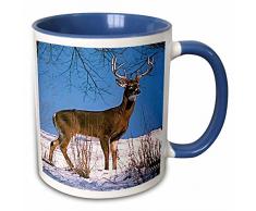 3dRose 721_6 Mug Becher, keramik, blau/weiß