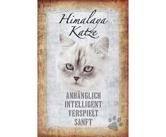 Schatzmix Katze steckbrief: Himalaya Katze - anhänglich, intelligent, verspielt, sanft Metal Sign deko Schild Blech Garten