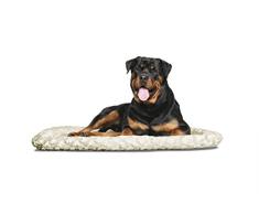 Furhaven Ultra Plüsch Nackenrolle Pet Bett, Jumbo, Latte