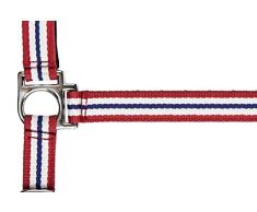 HKM 567343 Nylonhalfter Flags mit Karabinerhaken, L