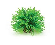 OASE biOrb Blumenball -Aquarium-Deko in Form einer japanischen Moosart, Zubehör fürs Aquarium-Becken, 360 Grad Modell, in Grün