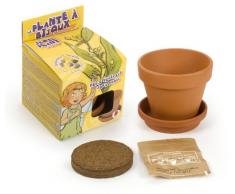 &Radis Capucines Pflanzset für Kinder mit Topf und Untersetzer, mit Schmucksteinen, Pflanze mit ihrer pflanzlichen perls