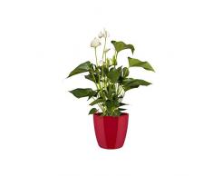 Elho Brussels Diamond Rund 30 - Blumentopf - Lovely Rot - Drinnen - Ø 29.6 x H 27.2 cm