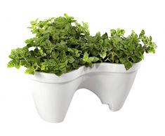 Keter Ivy Planter Blumentopf