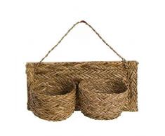 DCASA Blumentopf Alga zum Aufhängen