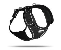 Curli Belka Geschirr, Black