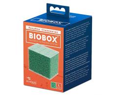 Aquatlantis Easy Box reinigen Wasser, groß